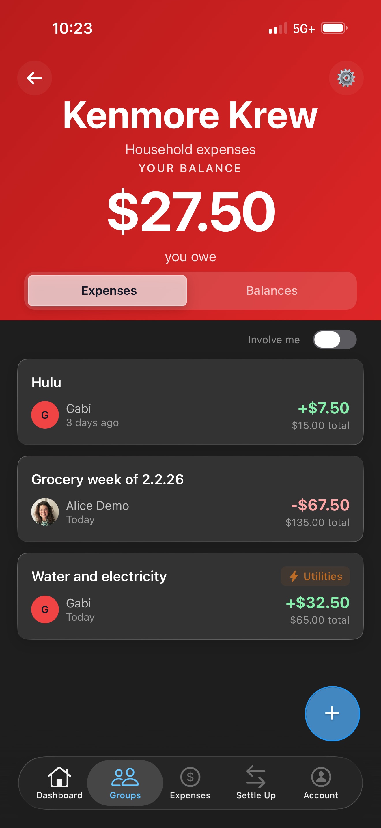 Household group with Hulu, grocery, and water/electricity expenses