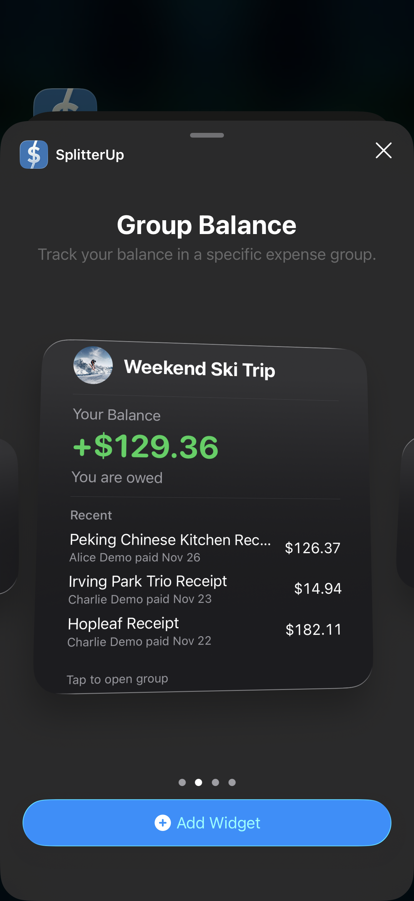 Group Balance Widget - Large Size with Recent Expenses